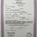 Powiększ obraz: certificate 8