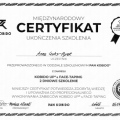 Powiększ obraz: certificate 1