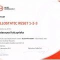 Powiększ obraz: certificate 12