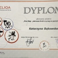 Powiększ obraz: certificate 5