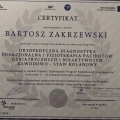 Powiększ obraz: certificate 20