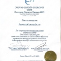 Powiększ obraz: certificate 1