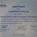 Powiększ obraz: certificate 9