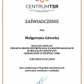 Powiększ obraz: certificate 5