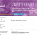 Powiększ obraz: certificate 2