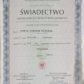 Powiększ obraz: certificate 7