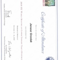 Powiększ obraz: certificate 9
