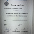 Powiększ obraz: certificate 5