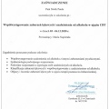 Powiększ obraz: certificate 1