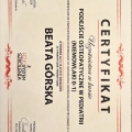 Powiększ obraz: certificate 2