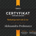 Powiększ obraz: certificate 7