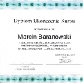 Powiększ obraz: certificate 14