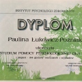 Powiększ obraz: certificate 6