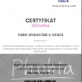Powiększ obraz: certificate 7