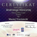 Powiększ obraz: certificate 11