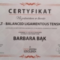 Powiększ obraz: certificate 4