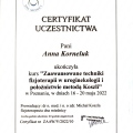 Powiększ obraz: certificate 18