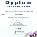 Powiększ obraz: certificate 6