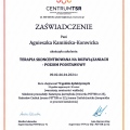 Powiększ obraz: certificate 2