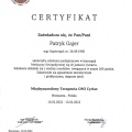 Powiększ obraz: certificate 2