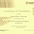 Powiększ obraz: certificate 7