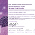 Powiększ obraz: certificate 4
