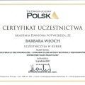 Powiększ obraz: certificate 4