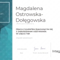 Powiększ obraz: certificate 4