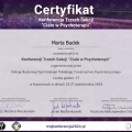 Powiększ obraz: certificate 4