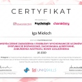Powiększ obraz: certificate 11