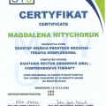 Powiększ obraz: certificate 13