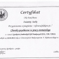 Powiększ obraz: certificate 11