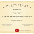 Powiększ obraz: certificate 41