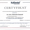 Powiększ obraz: certificate 13