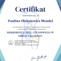 Powiększ obraz: certificate 35