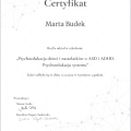 Powiększ obraz: certificate 12