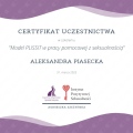 Powiększ obraz: certificate 2