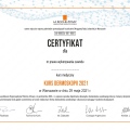 Powiększ obraz: certificate 9