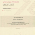 Powiększ obraz: certificate 5