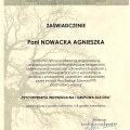 Powiększ obraz: certificate 1