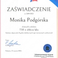 Powiększ obraz: certificate 7