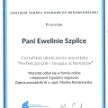 Powiększ obraz: certificate 11