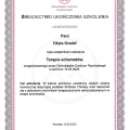 Powiększ obraz: certificate 4
