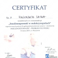 Powiększ obraz: certificate 94
