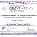 Powiększ obraz: certificate 4