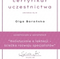 Powiększ obraz: certificate 1