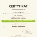 Powiększ obraz: certificate 6