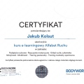 Powiększ obraz: certificate 5