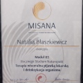 Powiększ obraz: certificate 9
