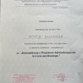 Powiększ obraz: certificate 1